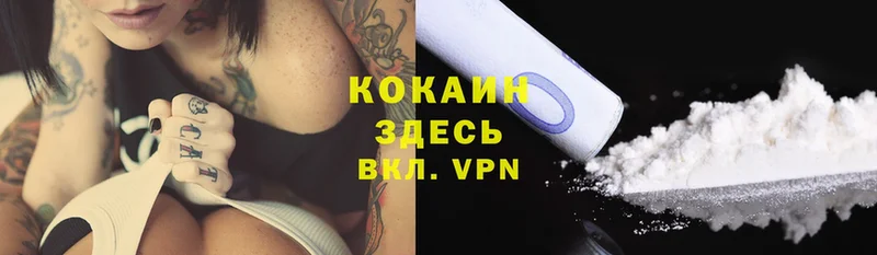 где купить наркоту  Венёв  Cocaine VHQ 