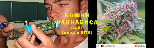 соль ск Бородино