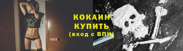 стаф Бронницы